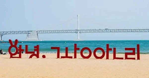 韓国文学ブーム