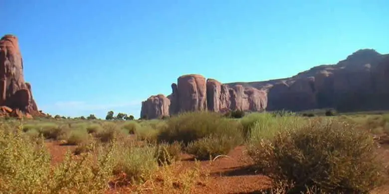 先住民文学おすすめ