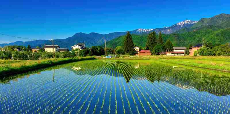 日本文学の名作