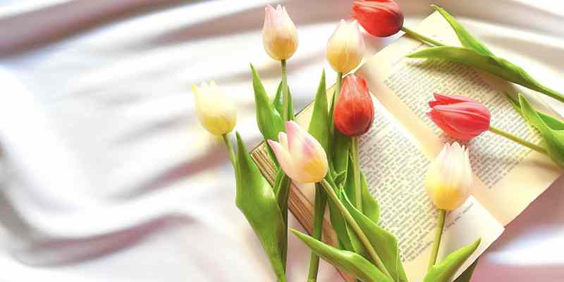 野間文芸賞歴代受賞作