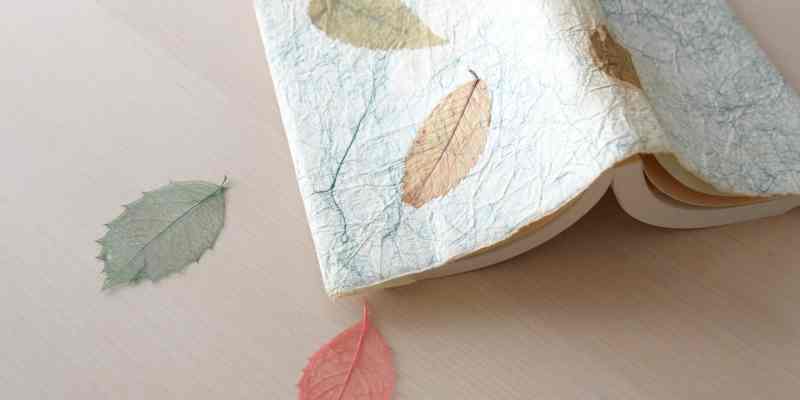 泉鏡花文学賞歴代受賞作