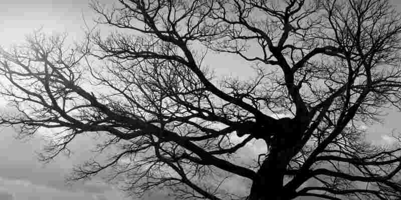 国際スリラー作家協会賞歴代